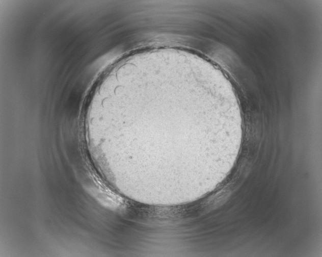 X0000080730832200701021118