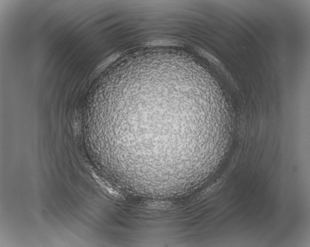 X0000080730833200701021118