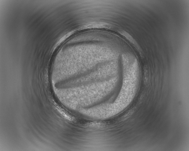 X0000080730834200701021118