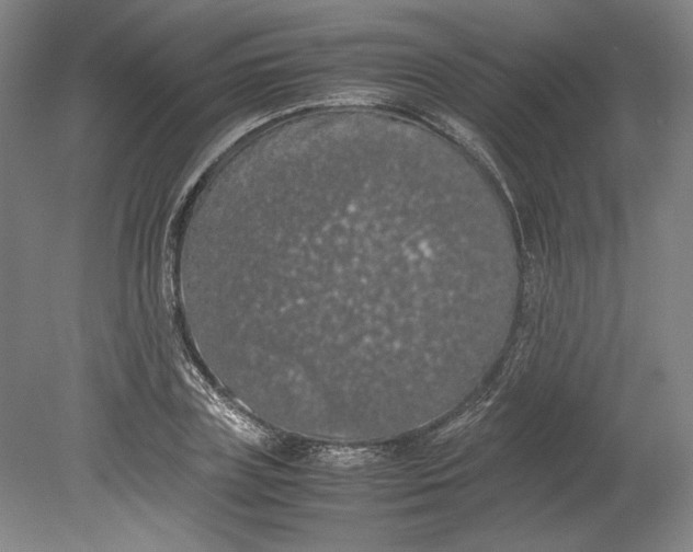 X0000080730835200701021118