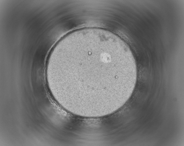 X0000080730836200701021118