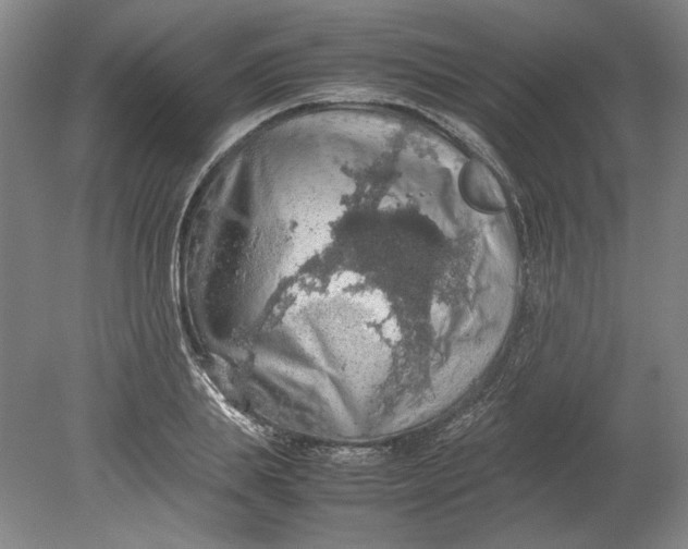 X0000080730839200701021118