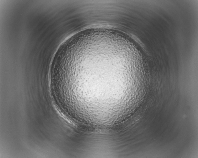 X0000080730840200701021118