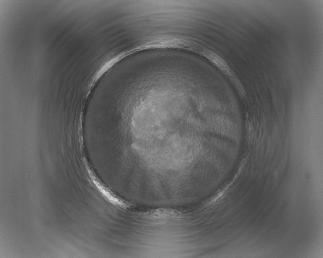 X0000080730842200701021118