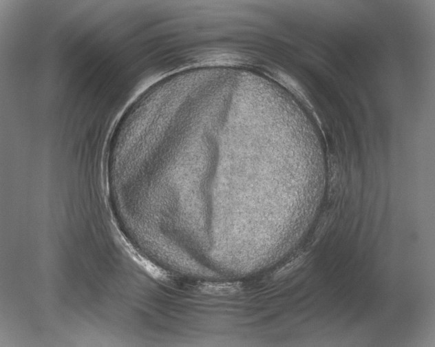 X0000080730843200701021118