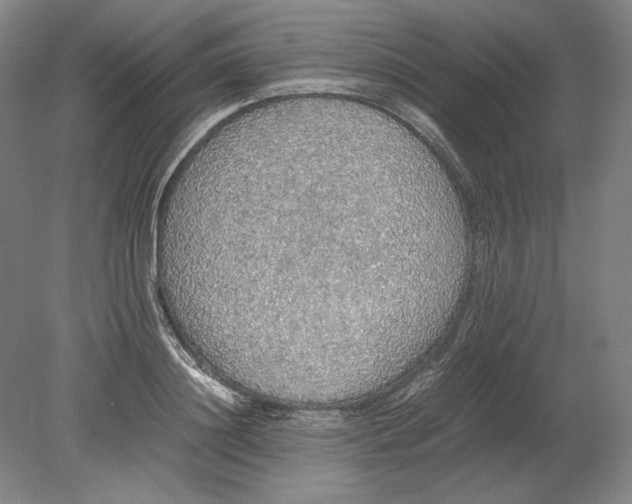 X0000080730844200701021118