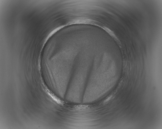 X0000080730846200701021118