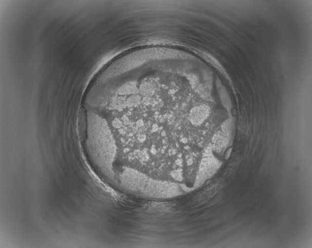 X0000080730847200701021118