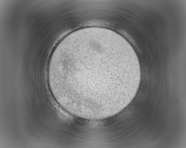 X0000080730848200701021118