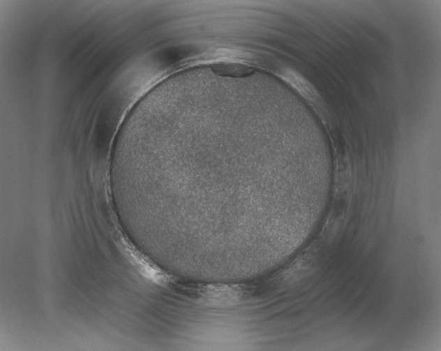 X0000080730850200701021118