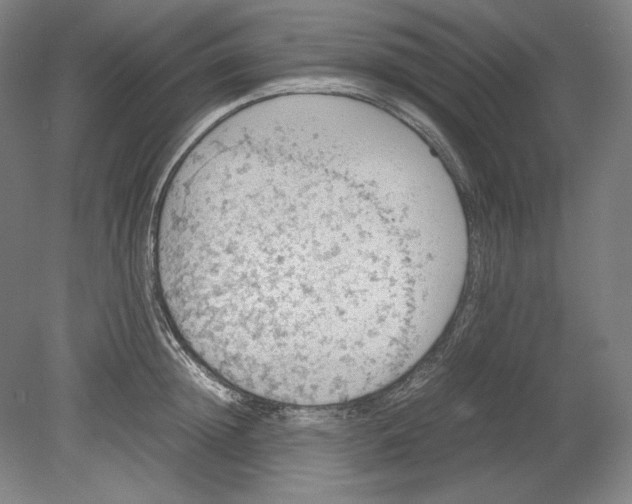 X0000080730852200701021118