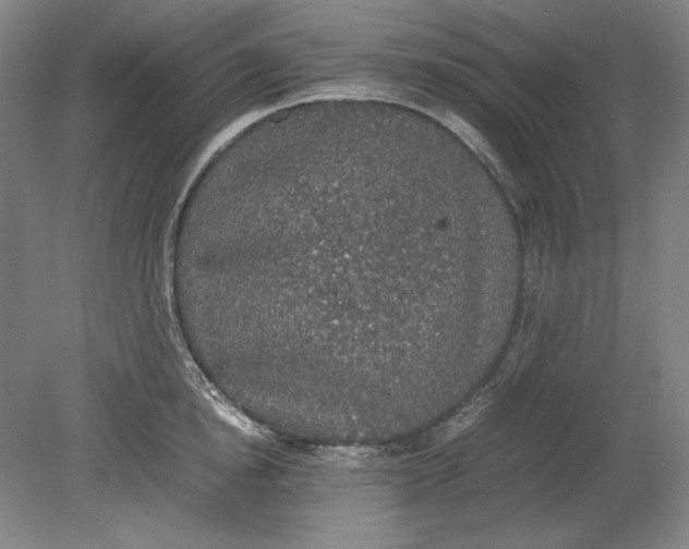 X0000080730854200701021118