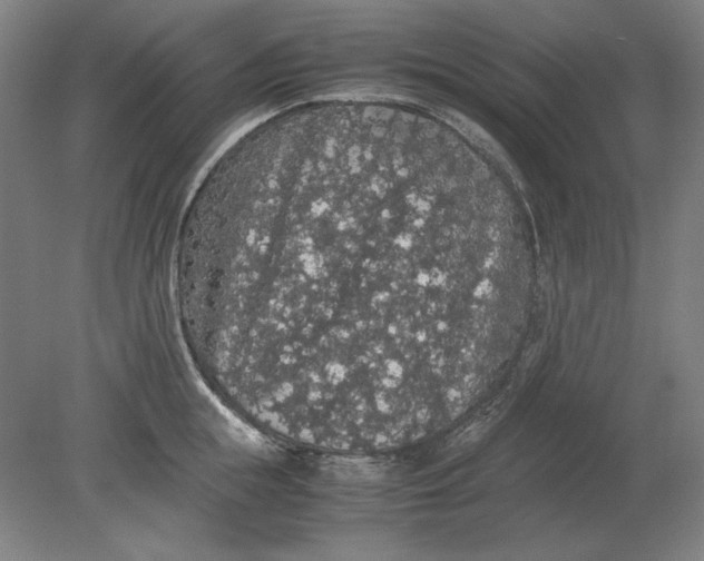 X0000080730855200701021118