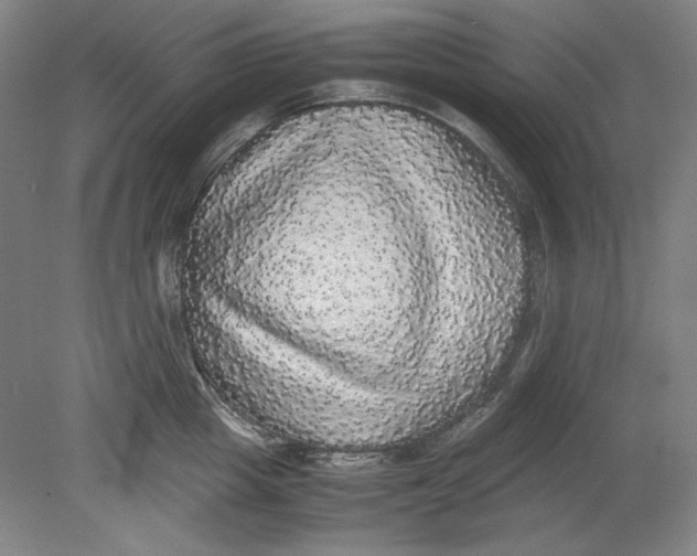 X0000080730857200701021118