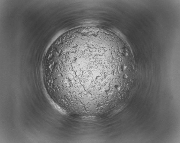 X0000080730859200701021118