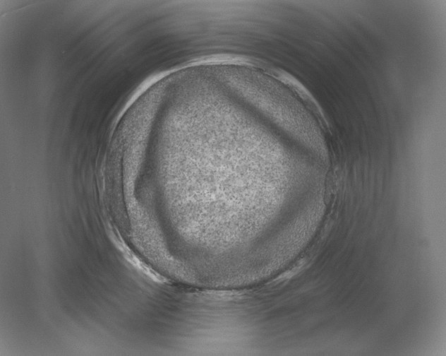 X0000080730860200701021118