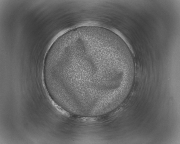 X0000080730861200701021118