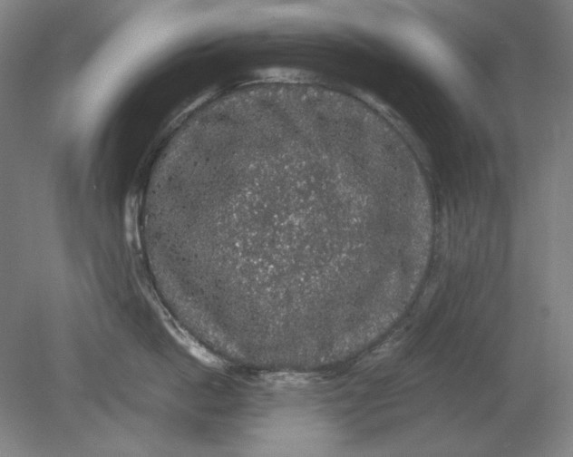 X0000080730862200701021118