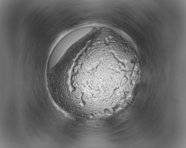 X0000080730863200701021118