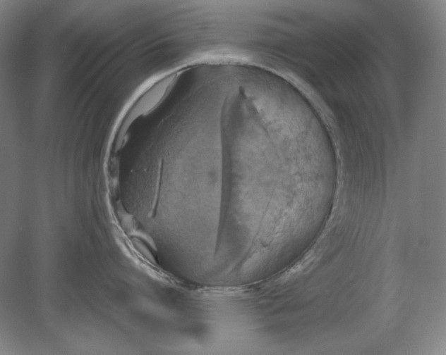 X0000080730864200701021118