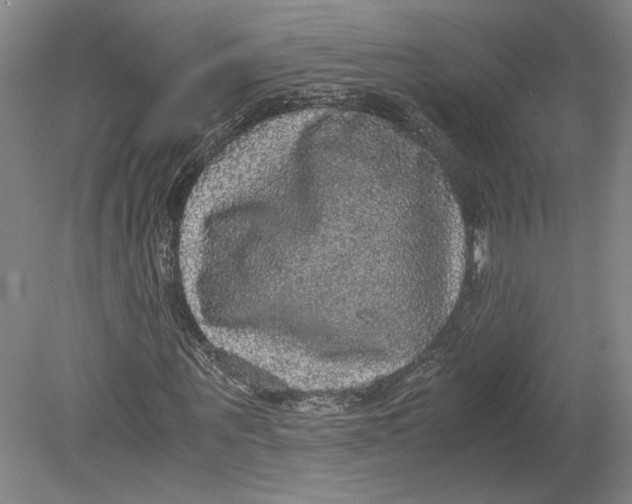 X0000080730867200701021117