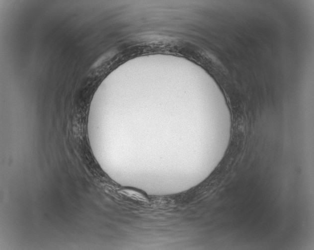 X0000080730869200701021117