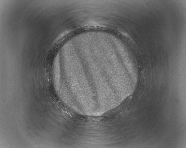 X0000080730870200701021117