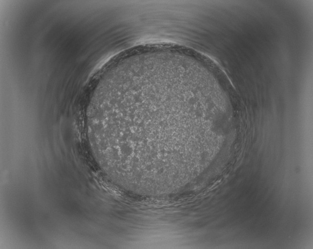 X0000080730871200701021117