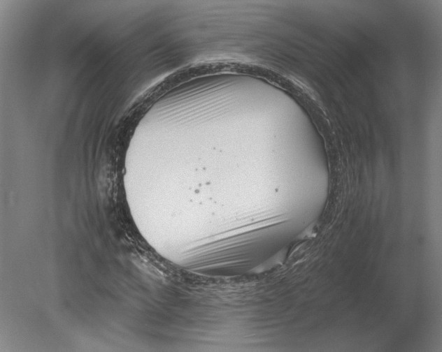 X0000080730872200701021117