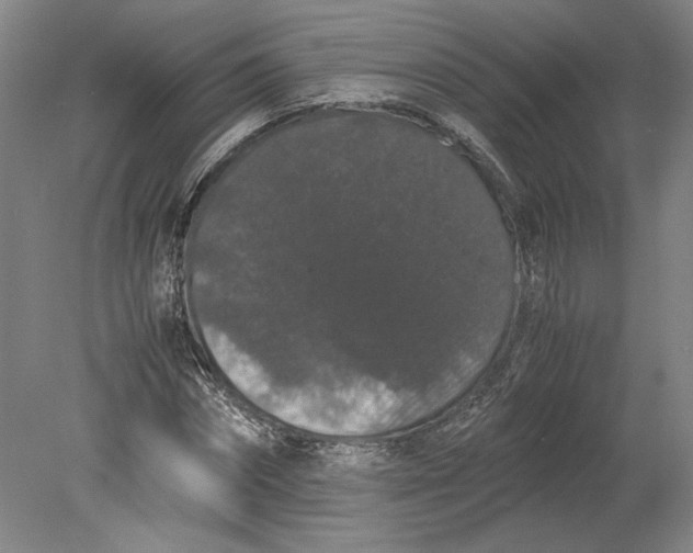 X0000080730874200701021117