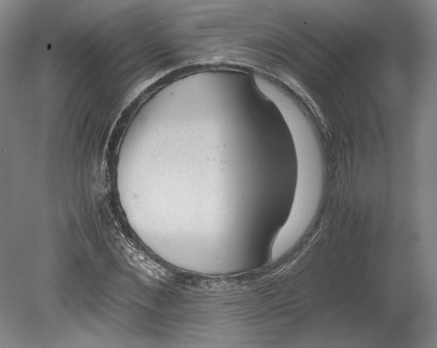 X0000080730876200701021117