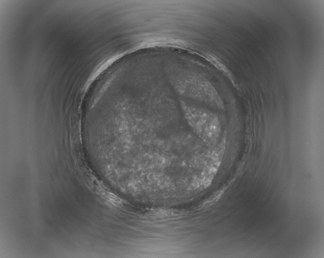 X0000080730877200701021117