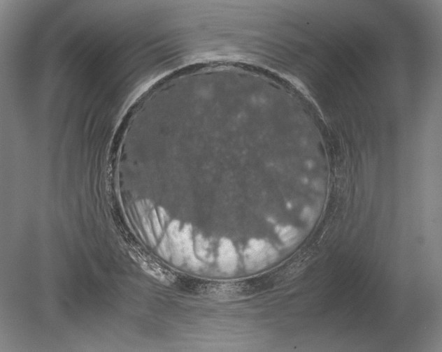 X0000080730879200701021117