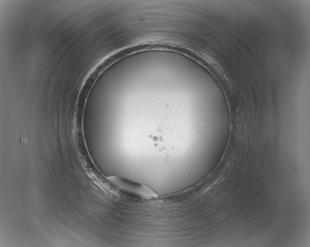 X0000080730880200701021117