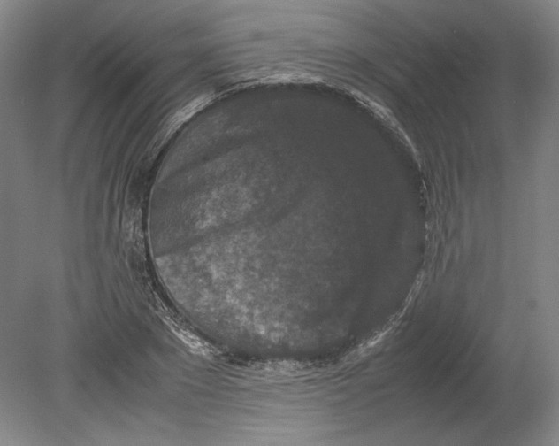 X0000080730881200701021117