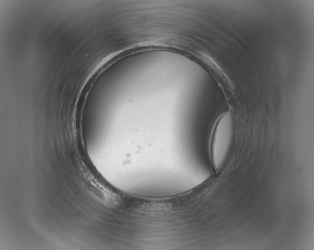 X0000080730884200701021117