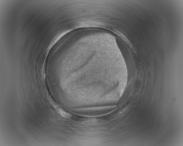 X0000080730885200701021117