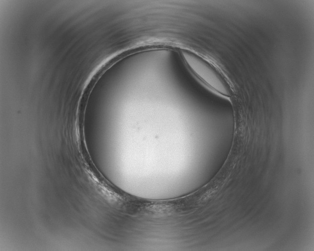 X0000080730888200701021117