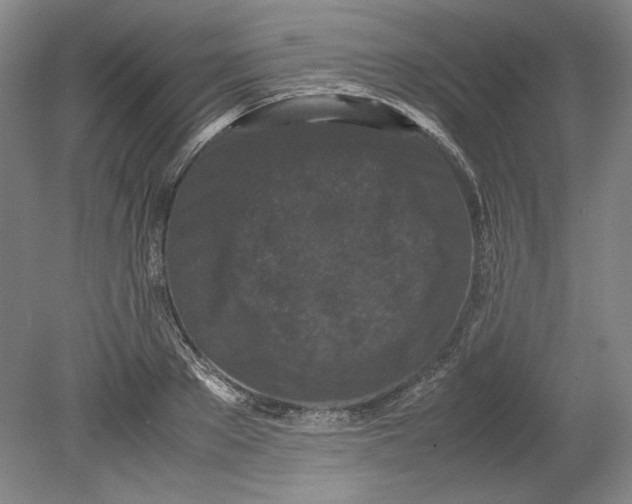 X0000080730889200701021117