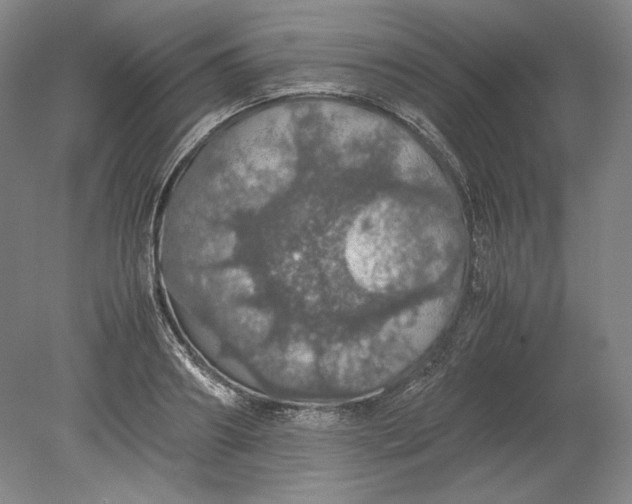 X0000080730890200701021117