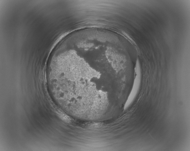 X0000080730891200701021117