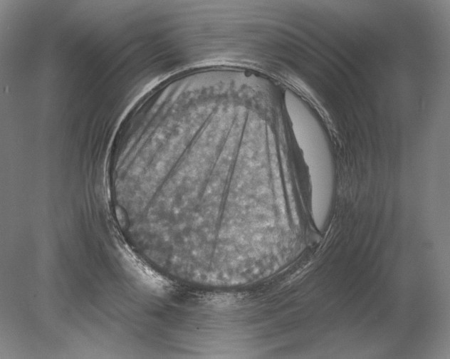 X0000080730892200701021117