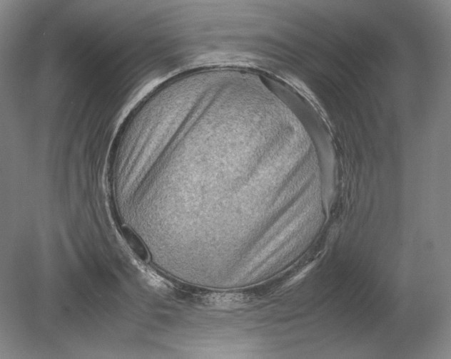 X0000080730893200701021117