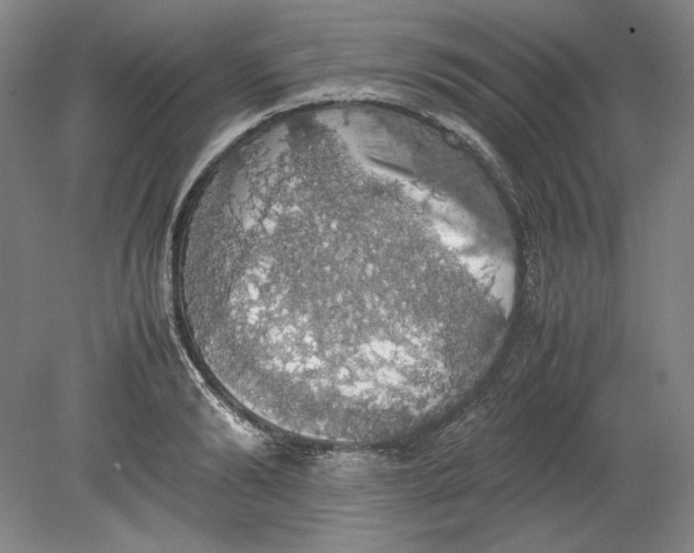 X0000080730894200701021117