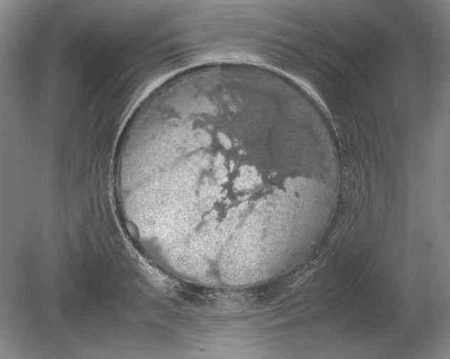 X0000080730895200701021117