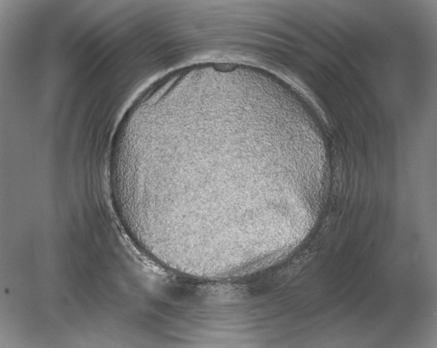 X0000080730896200701021117