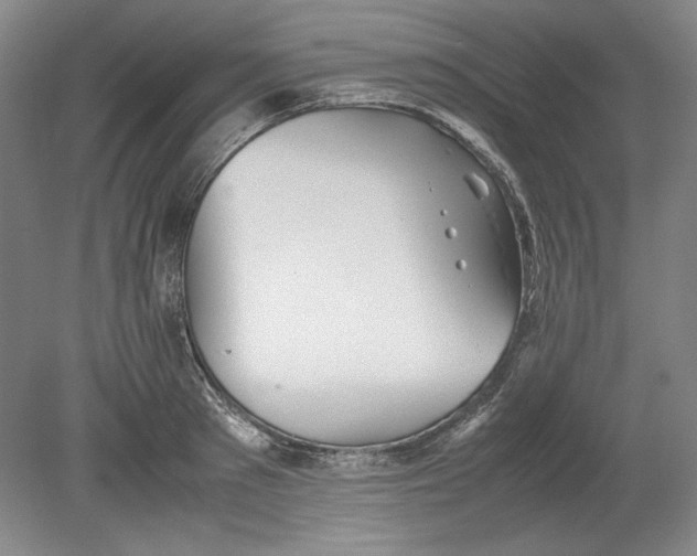 X0000080730897200701021117