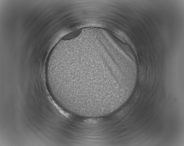 X0000080730898200701021117