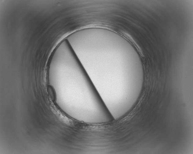 X0000080730900200701021117