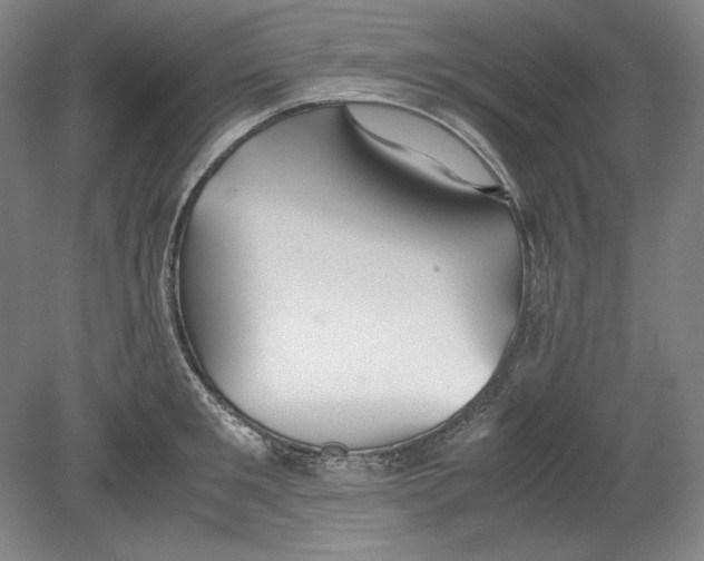 X0000080730901200701021117